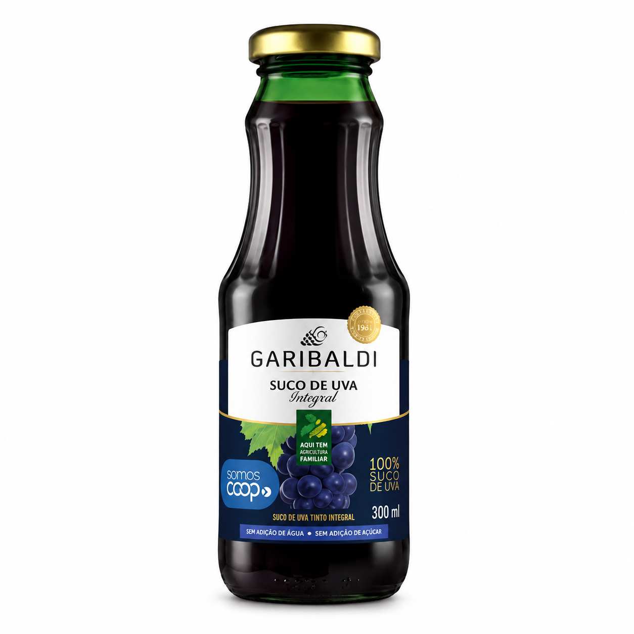 SUCO GARIBALDI UVA 300ML