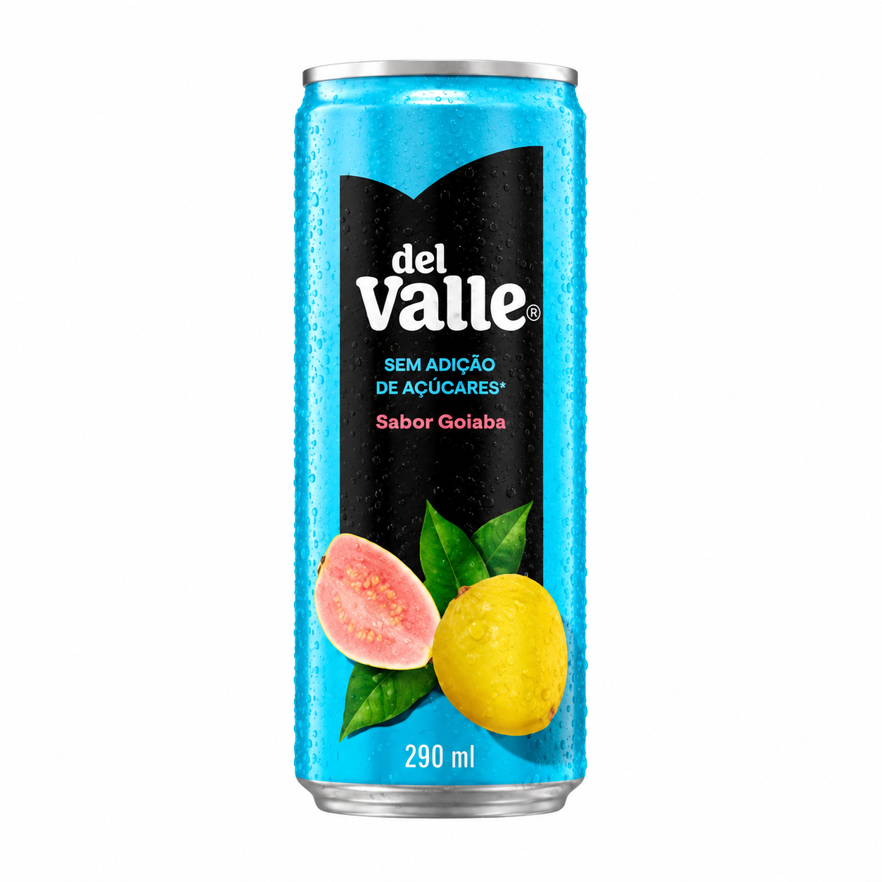 DELL VALLE GOIABA